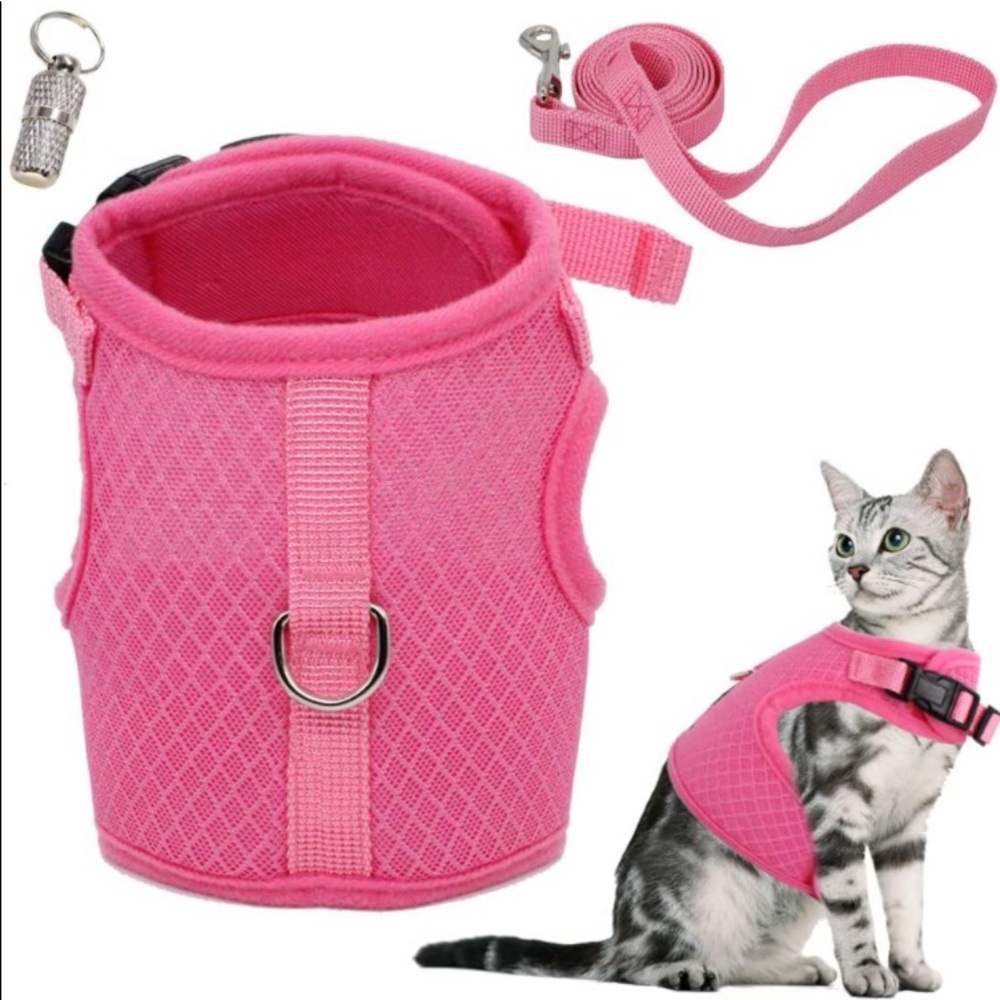 Large cat harness and leash